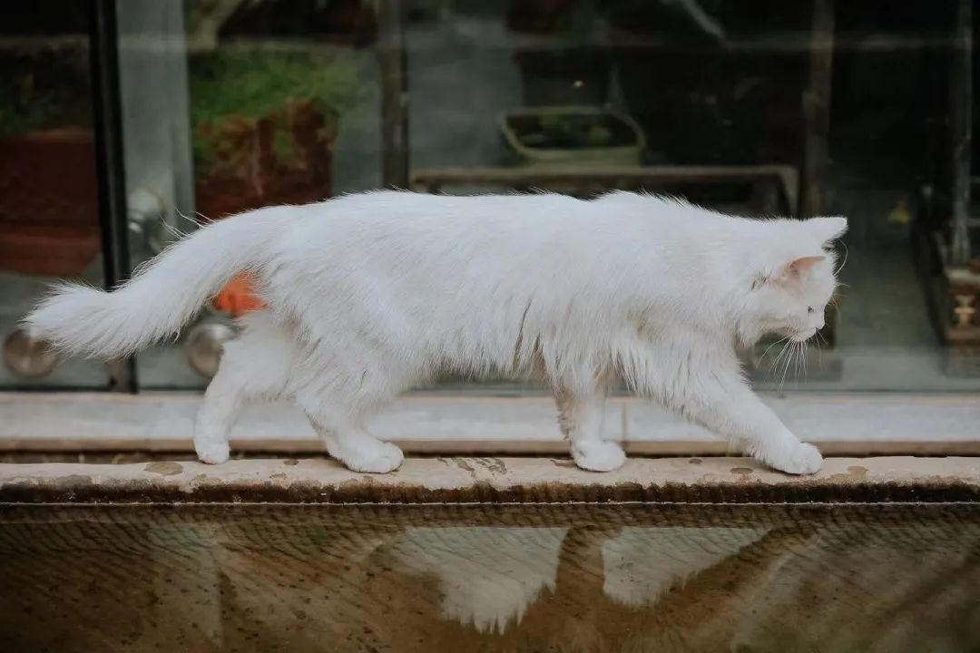 赵明明：上班摸鱼，是我的梦想!