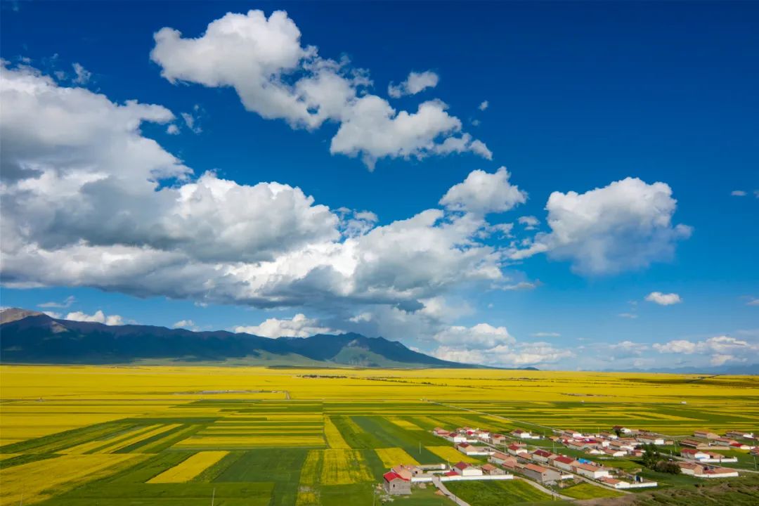 物种进化和系统升级,物种重塑