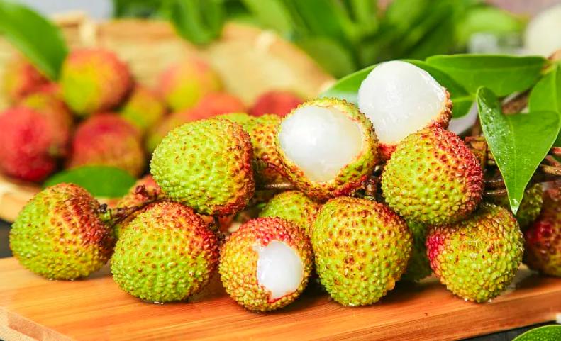 端午假期光明活动超精彩！音乐live、摘荔枝、包粽子……等你解锁！