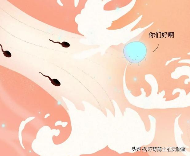 什么坐姿不易诱发前列腺炎,前列腺最怕的5个坏习惯