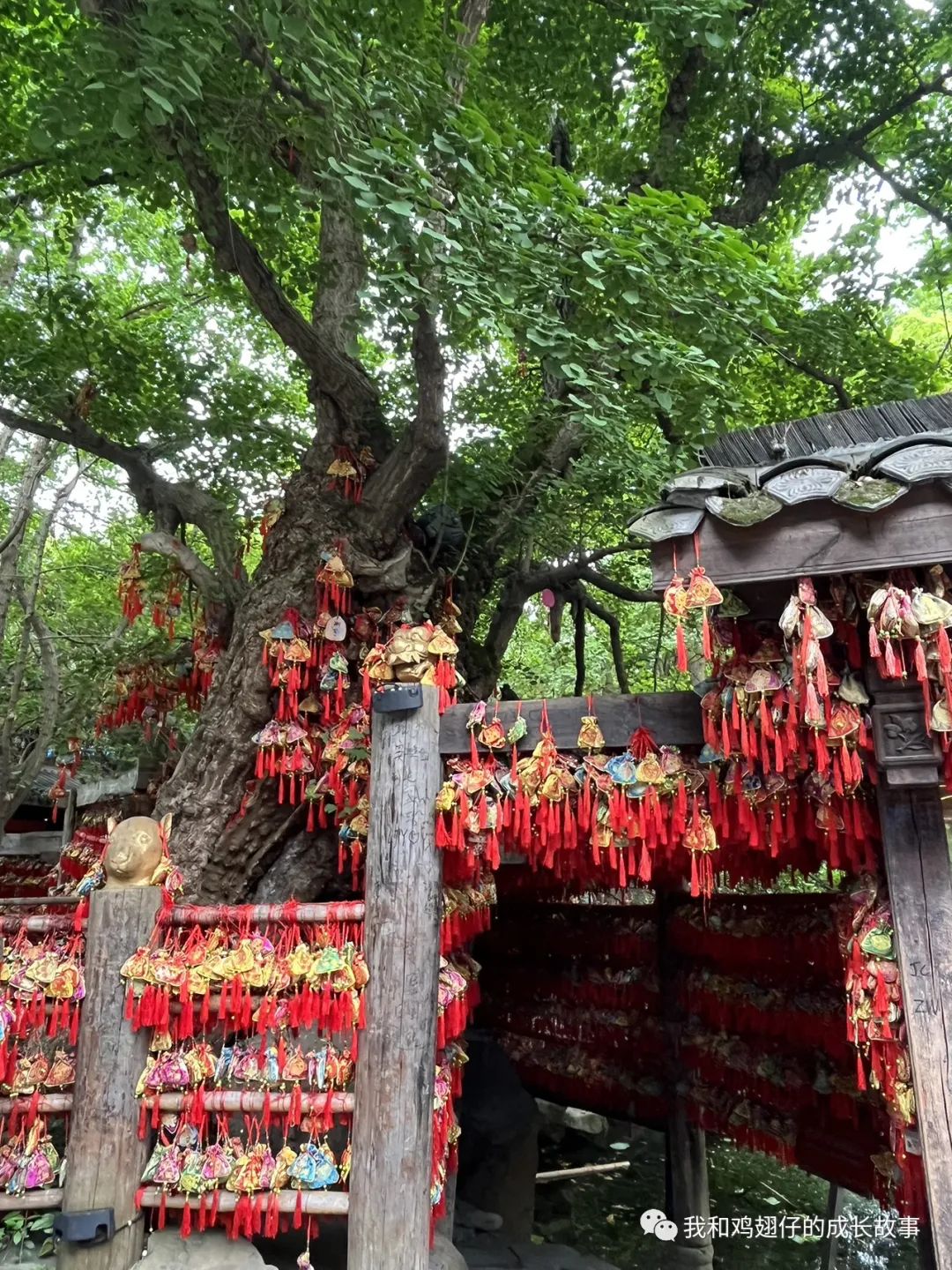 成都中和美食推荐排行榜前十名,成都建设路美食一条街详细地址