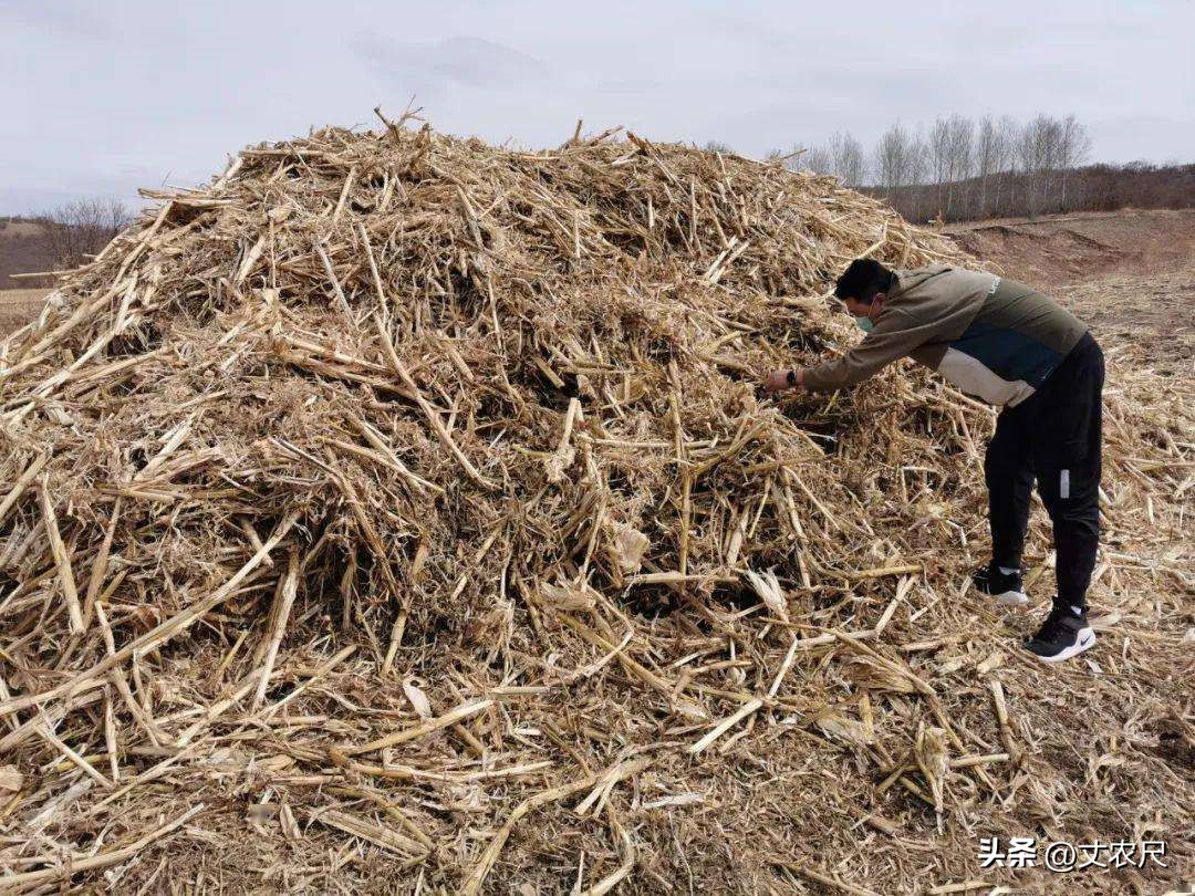 比壁挂炉更省钱的取暖方式,冬季农村用电取暖最经济的办法