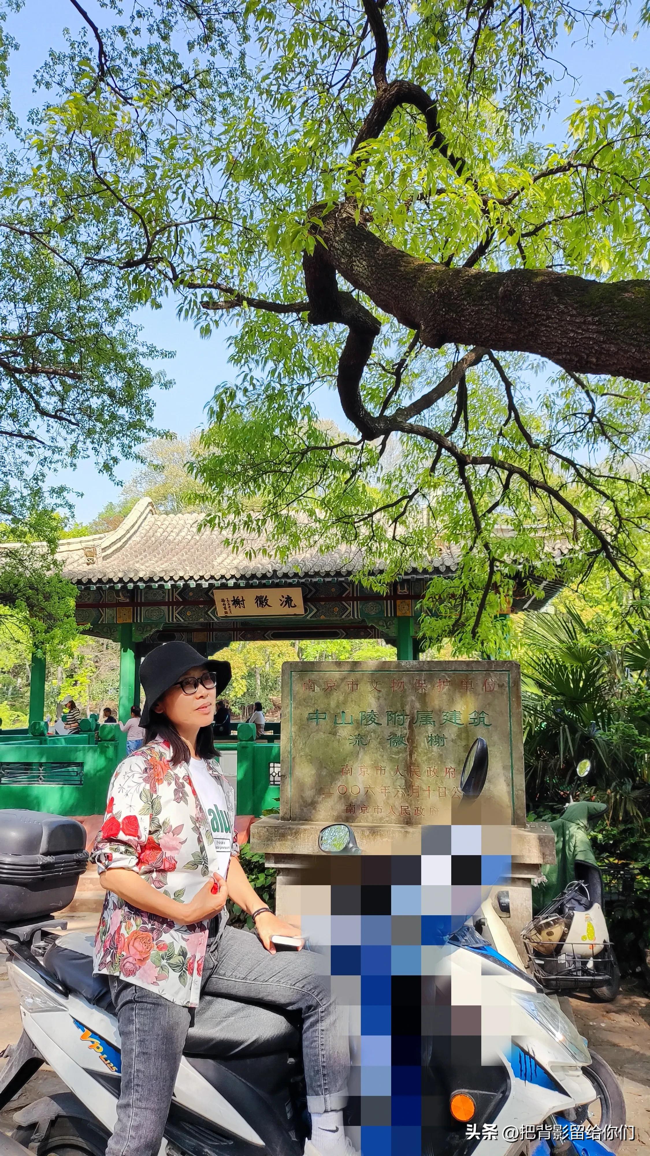 我的大南京，你这是怎么了？