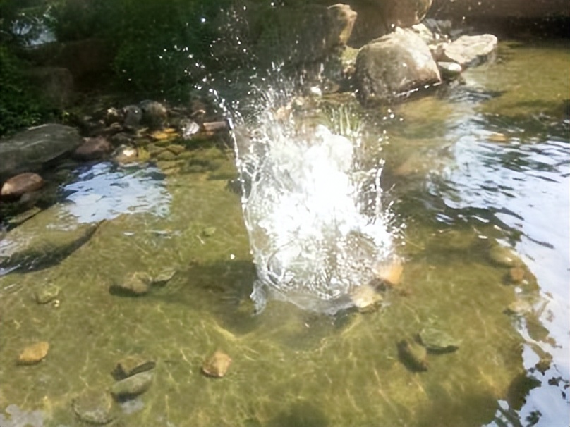 99%的人都不会正确擦屁股,带薪拉屎必看!