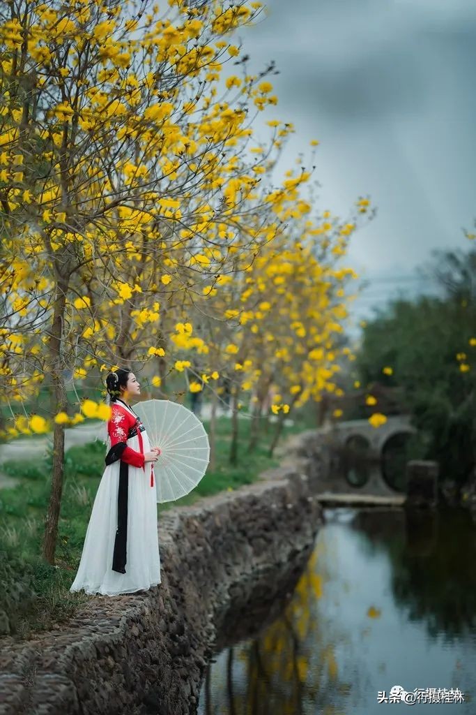 花仙子风铃,风铃花仙子