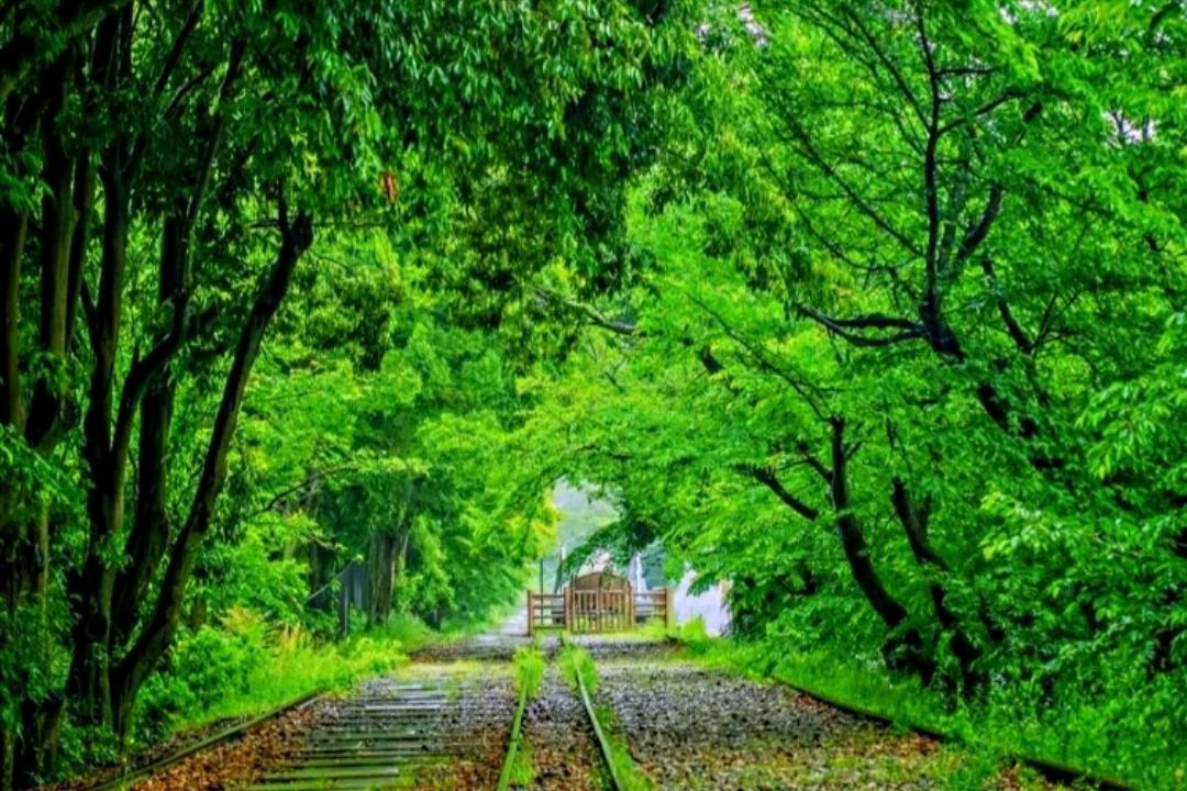 少数民族预科班算高分吗,高考少数民族预科班录取规则