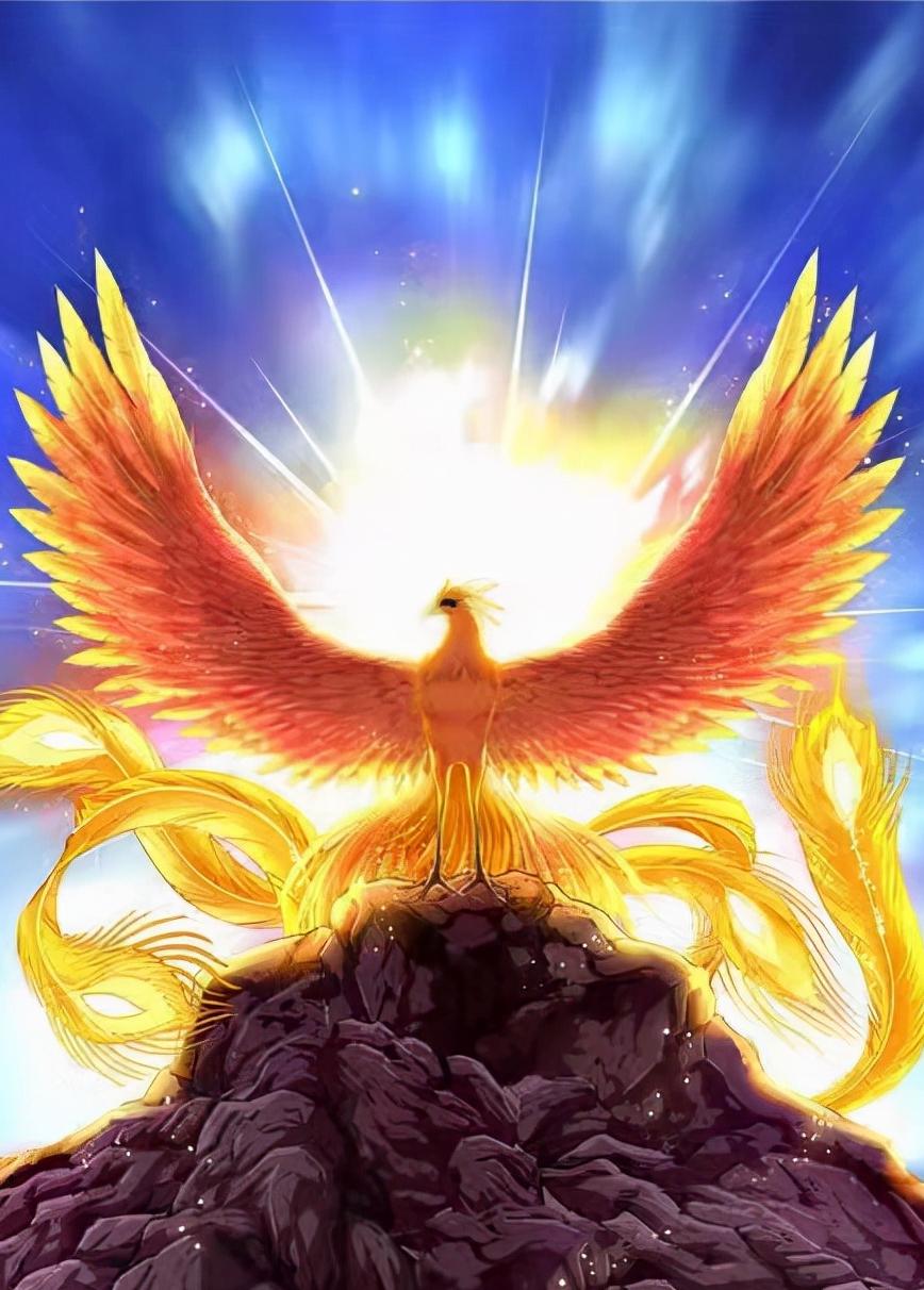 孕期做的梦会预示胎儿健康状况吗,孕妇梦到生女儿有什么寓意