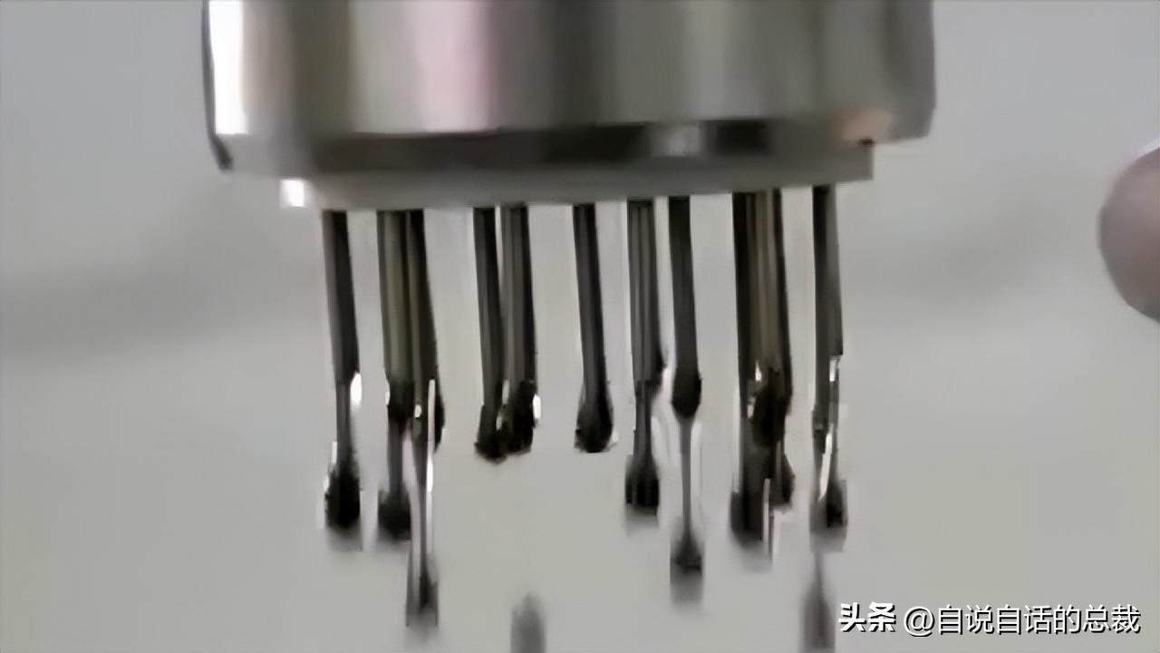 从2亿年不进化的王者，到比黄金还贵的食物，背后隐藏着商业秘密