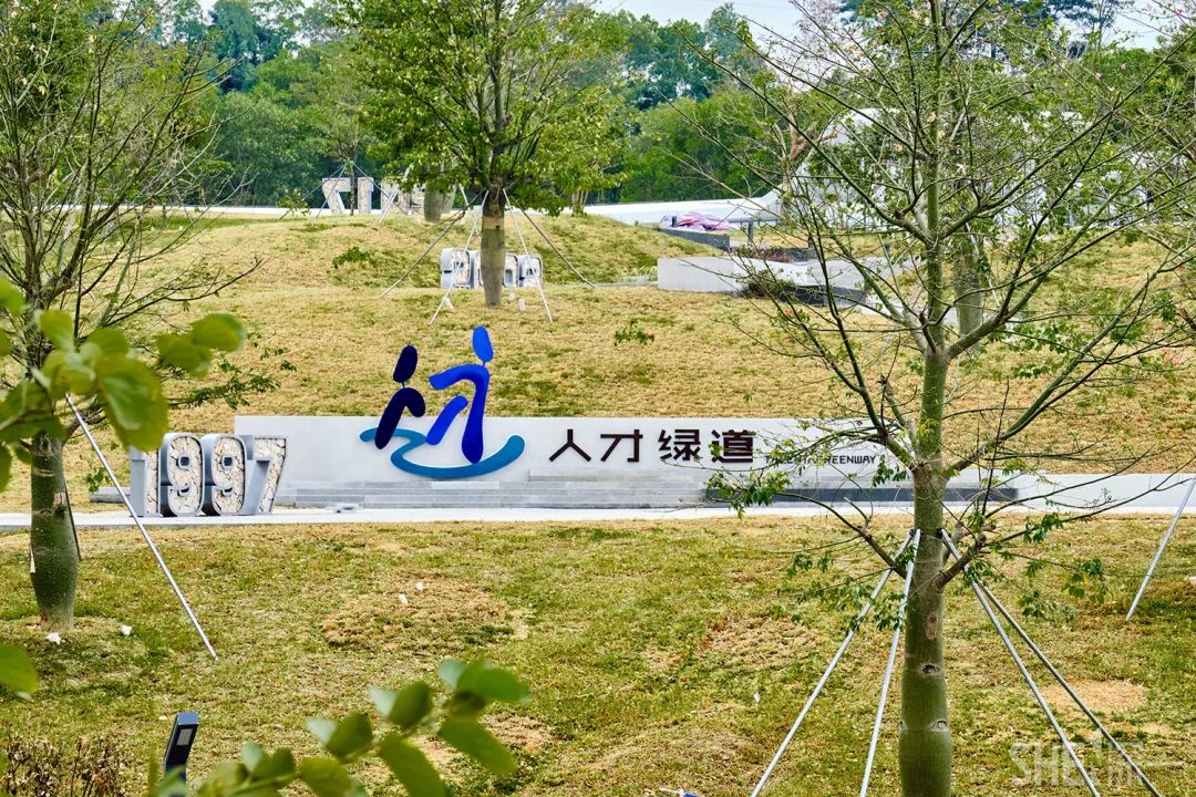 深圳10公里跑步路线,深圳跑步路线推荐塑胶跑道