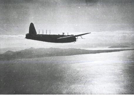 漂泊的鱼完整版,漂泊的鱼鹰