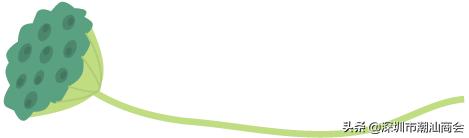 我与深圳的故事全集,我和深圳的创业故事