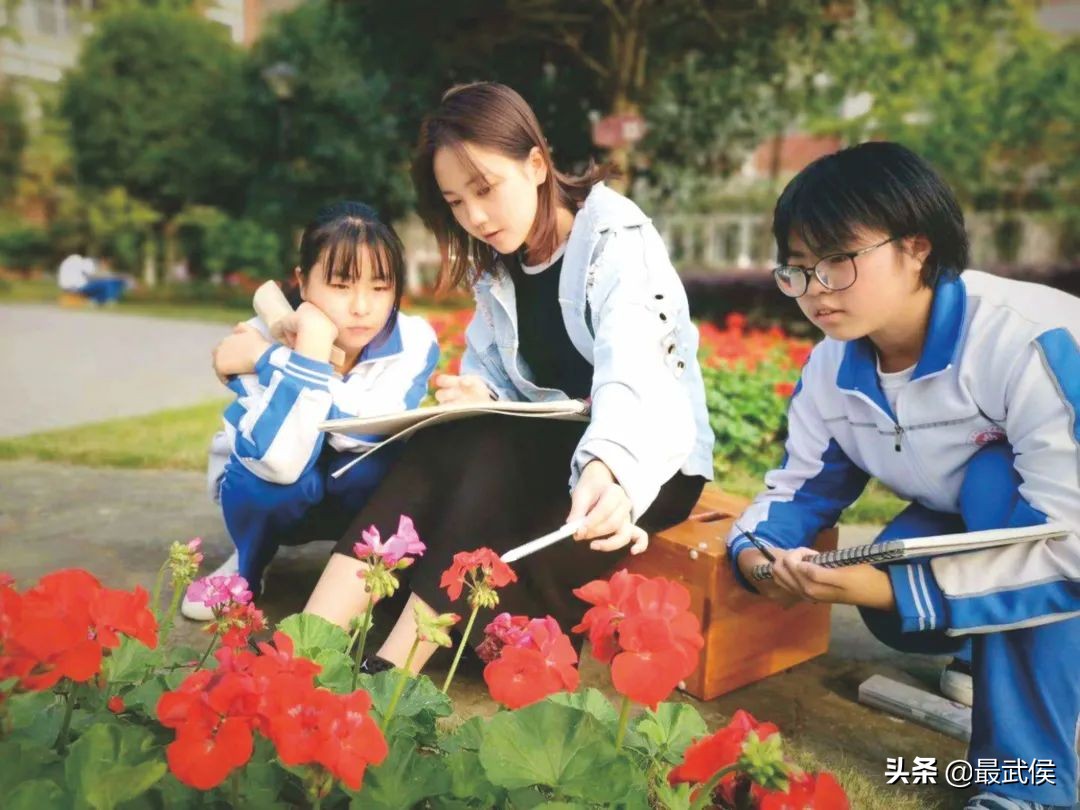 成都新增66所新优质学校武侯区,武侯新城有哪些学校