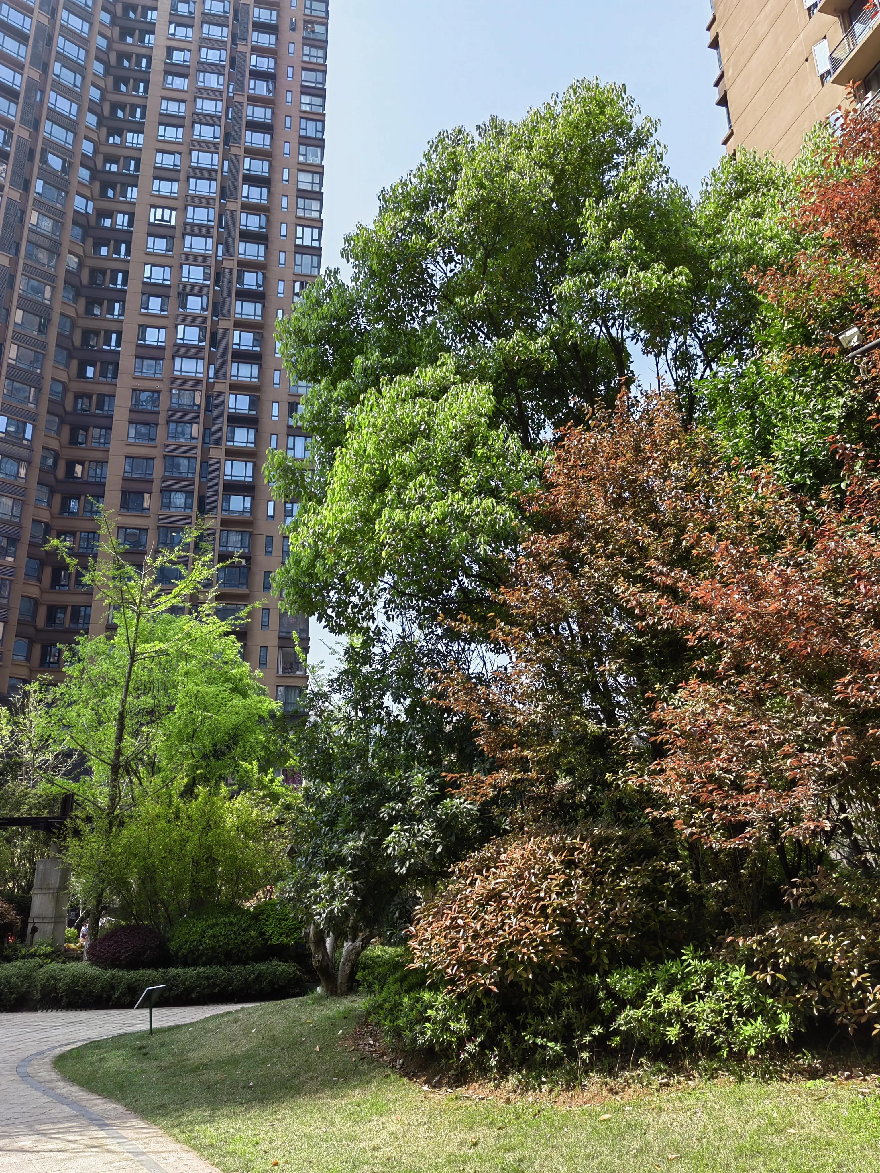 城市人口格局正在经历这样的变化,城市人口经历了怎样的变化