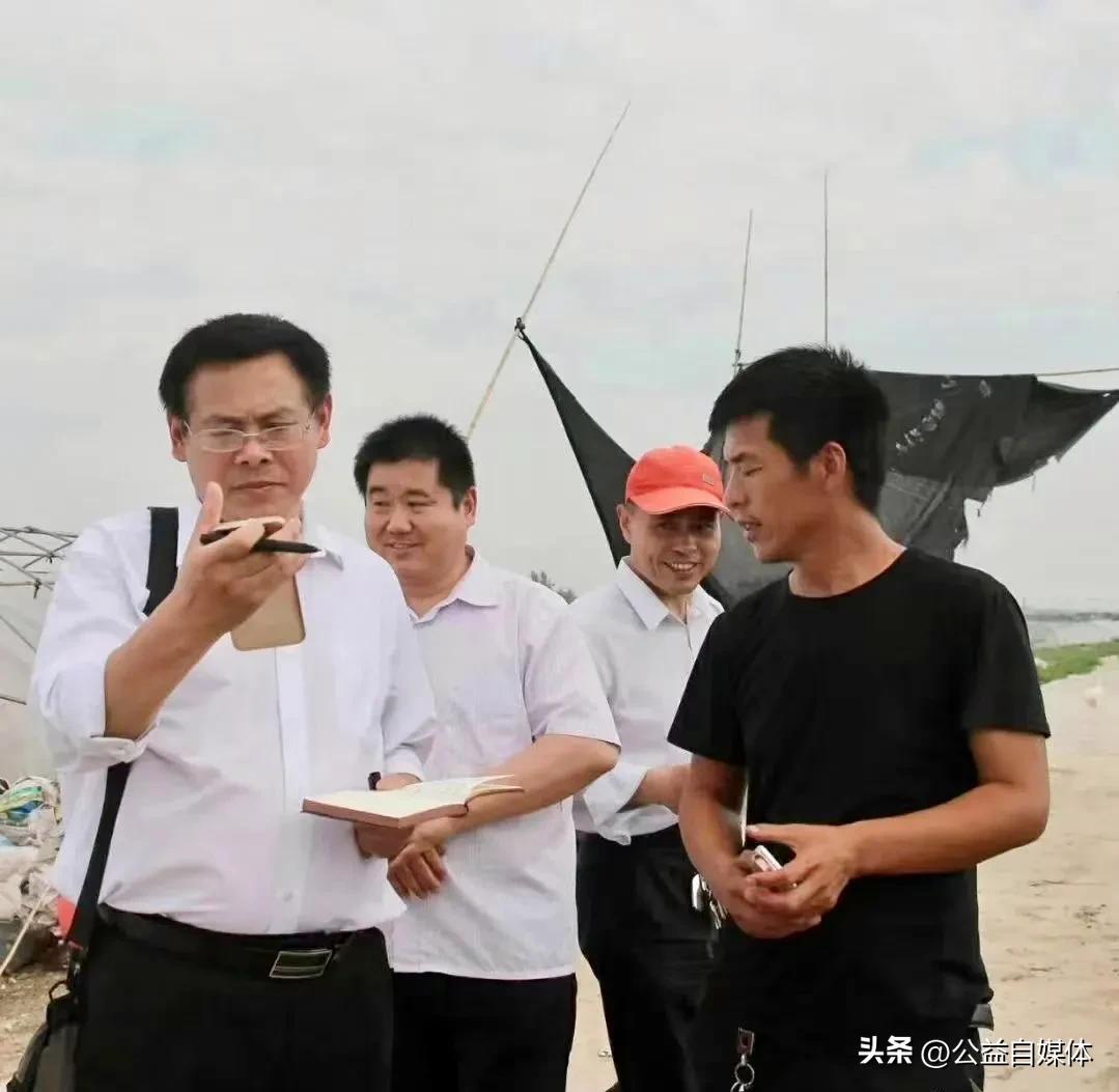 让梦想之花一路绽放：记安徽界首金叶旺种植专业合作社理事长宋哲