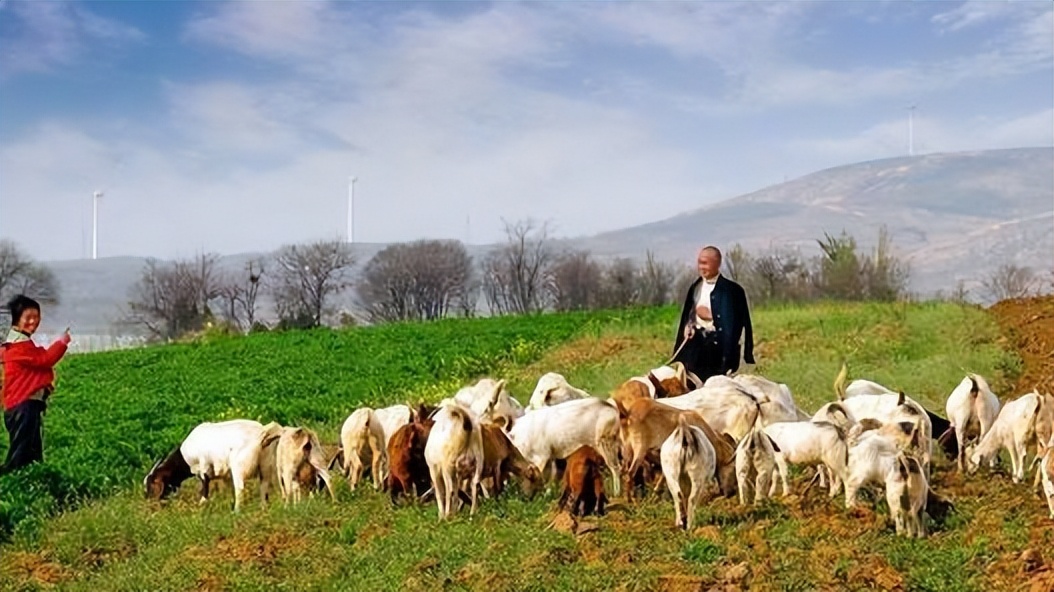 山东发现宝石村：漫山遍野不起眼的碎石头，实际是价值连城蓝宝石