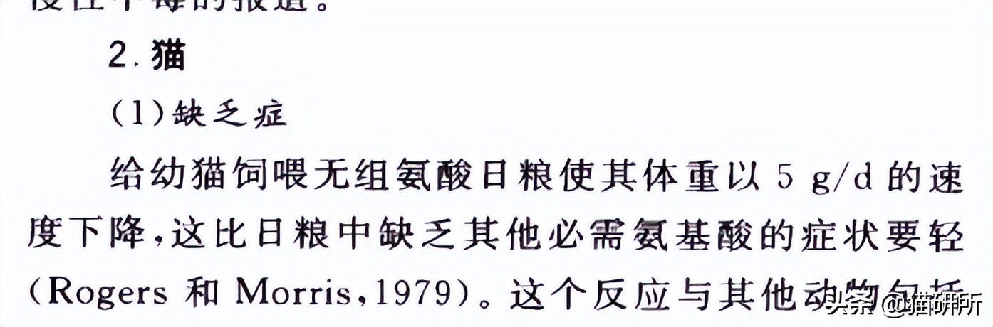 进口罐头猫粮怎么选,猫粮罐头怎么挑选