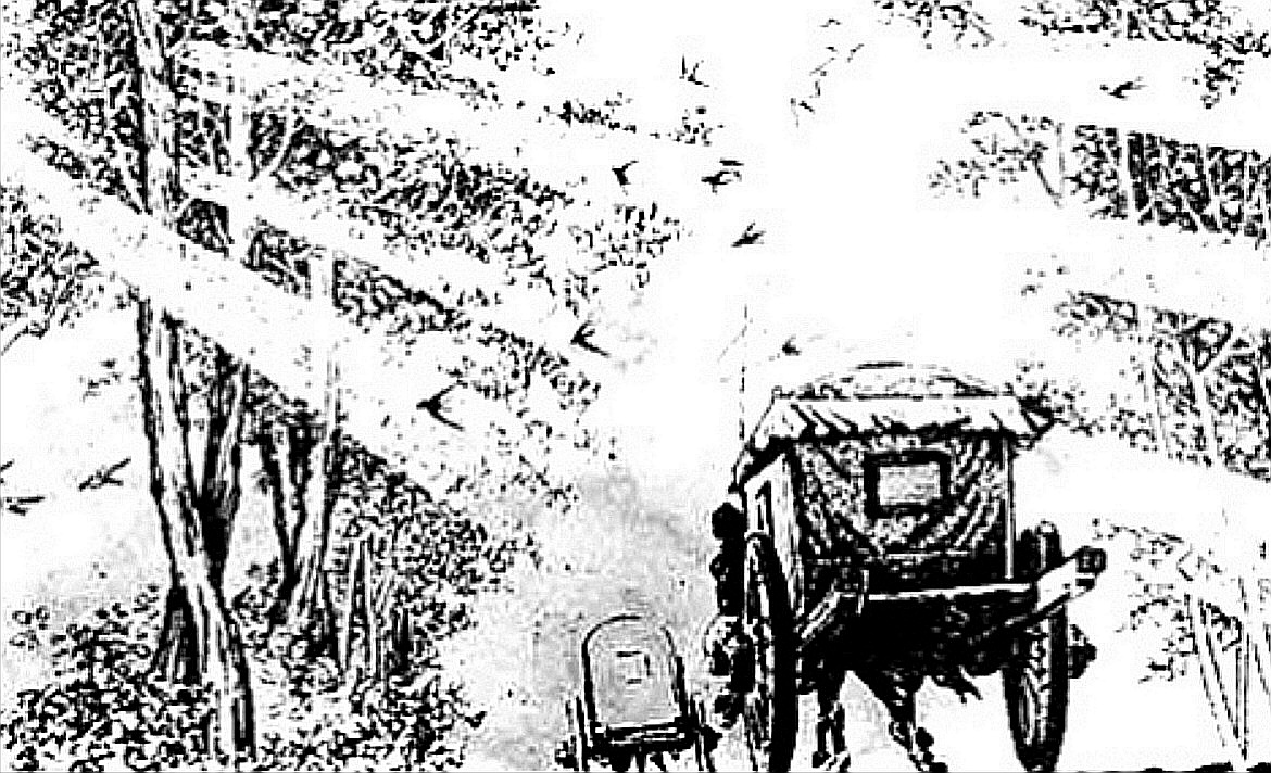 故事：渣男看上朋友漂亮妻，迎亲时用计谋换了媳妇，结局大快人心