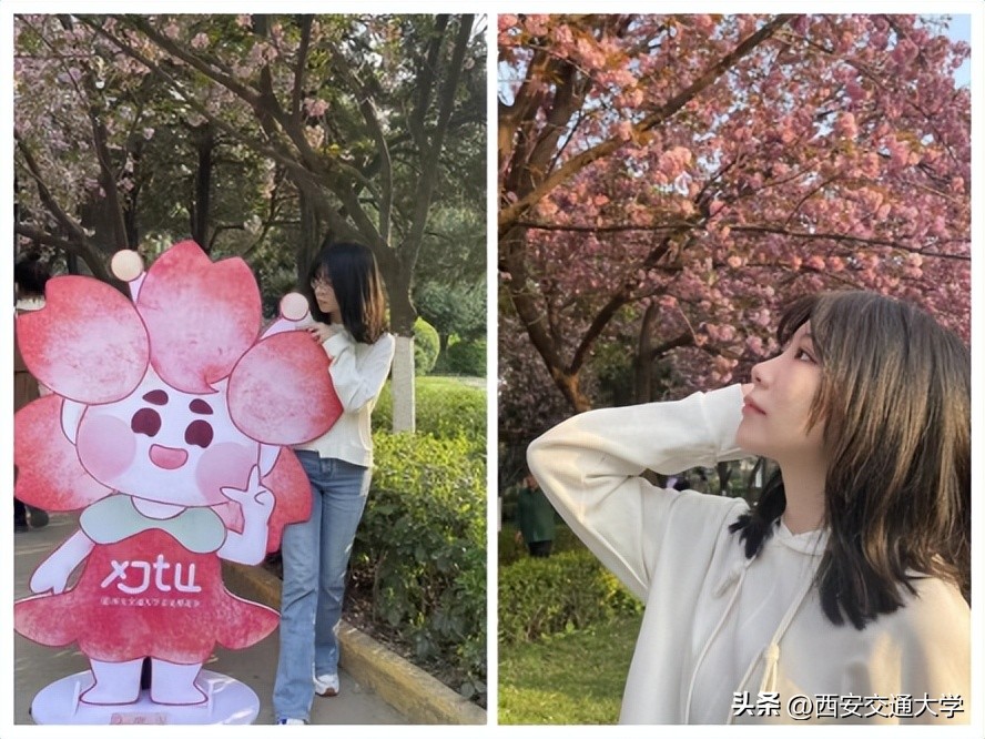 “春见”仙交，樱寄情思