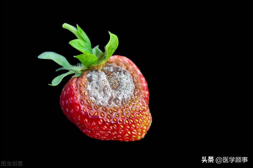 NEJM回顾200年传染病史|以史为鉴,可以知兴替