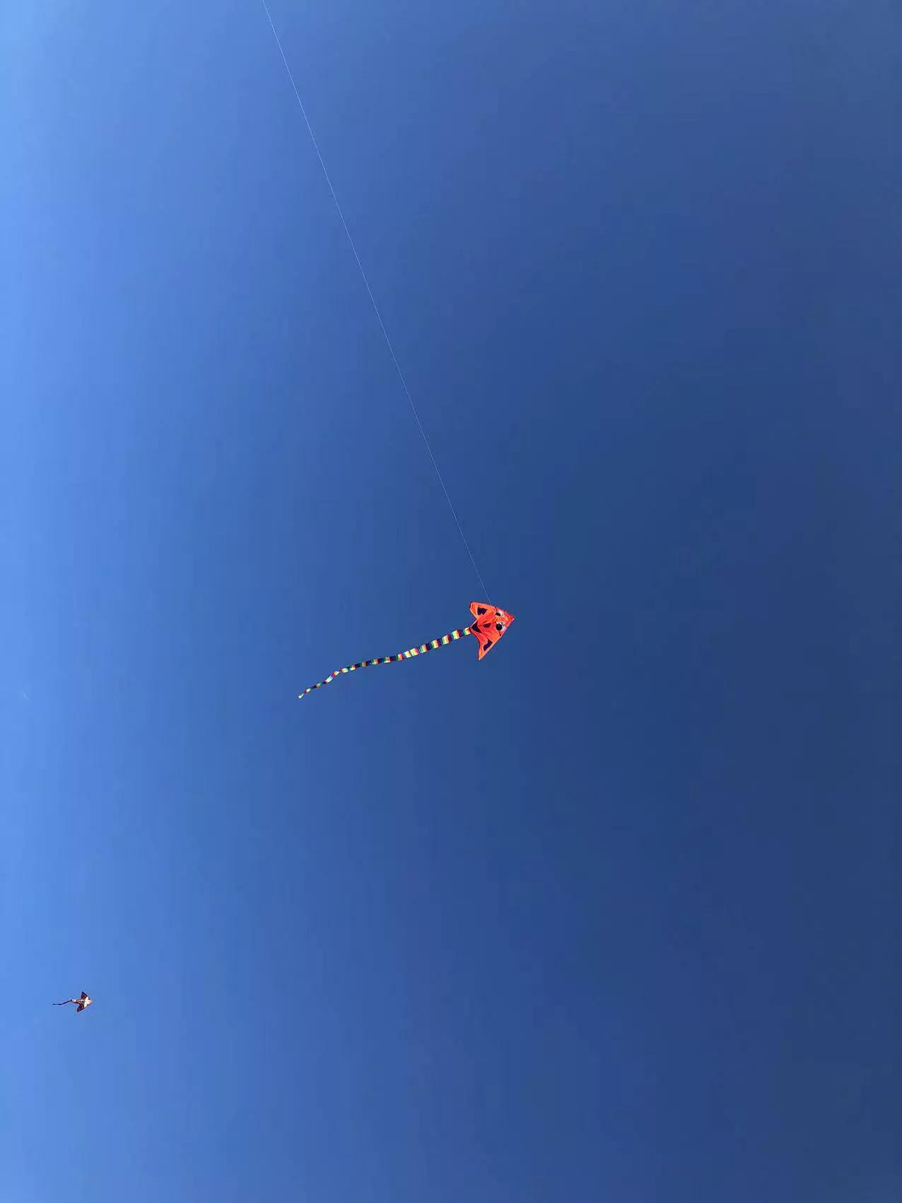 为什么有癫痫病的人不好找工作,难道有癫痫病的人真的命不长吗