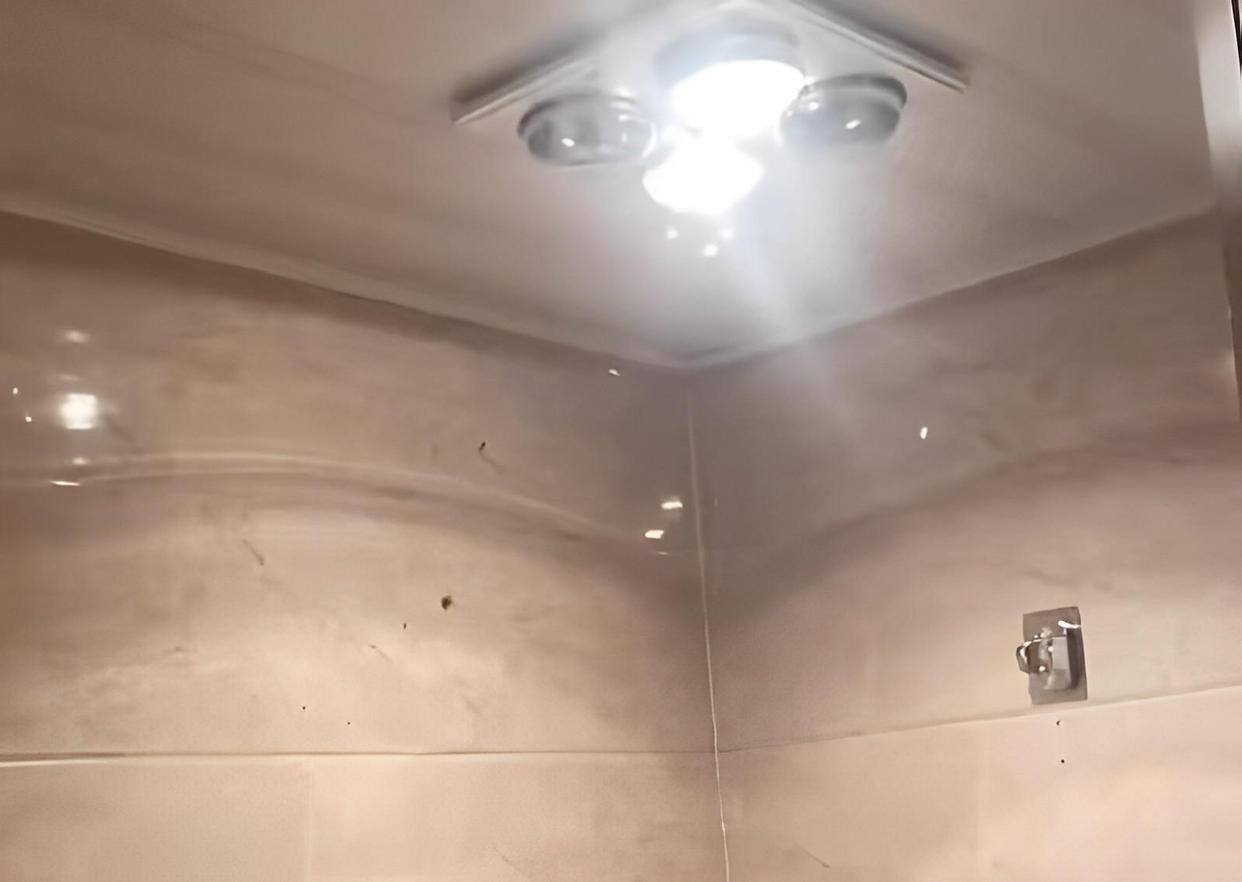 家中飞进蜜蜂半小时被筑超大蜂巢,家里出现巨型蜜蜂窝