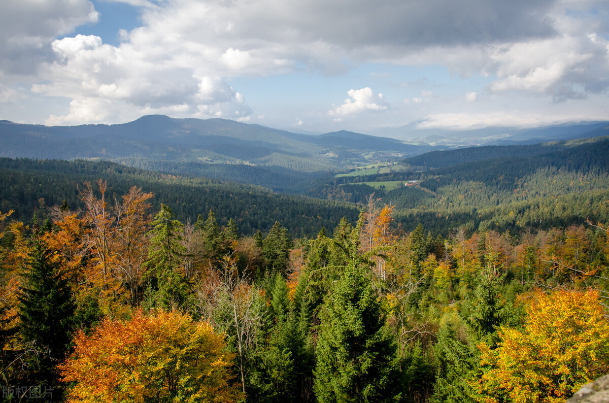一轮复习·诗歌鉴赏选择题专项训练（上）