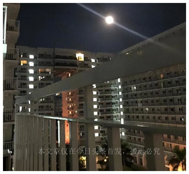 某职校派遣学生去菲律宾工作,职校推荐学生到菲律宾赌场工作