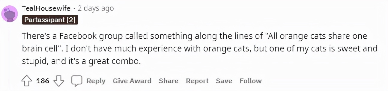 澶栧浗灏忓摜鍚愭Ы濂崇敓,澶栧浗灏忓摜鍚愭Ы宸ヤ綔