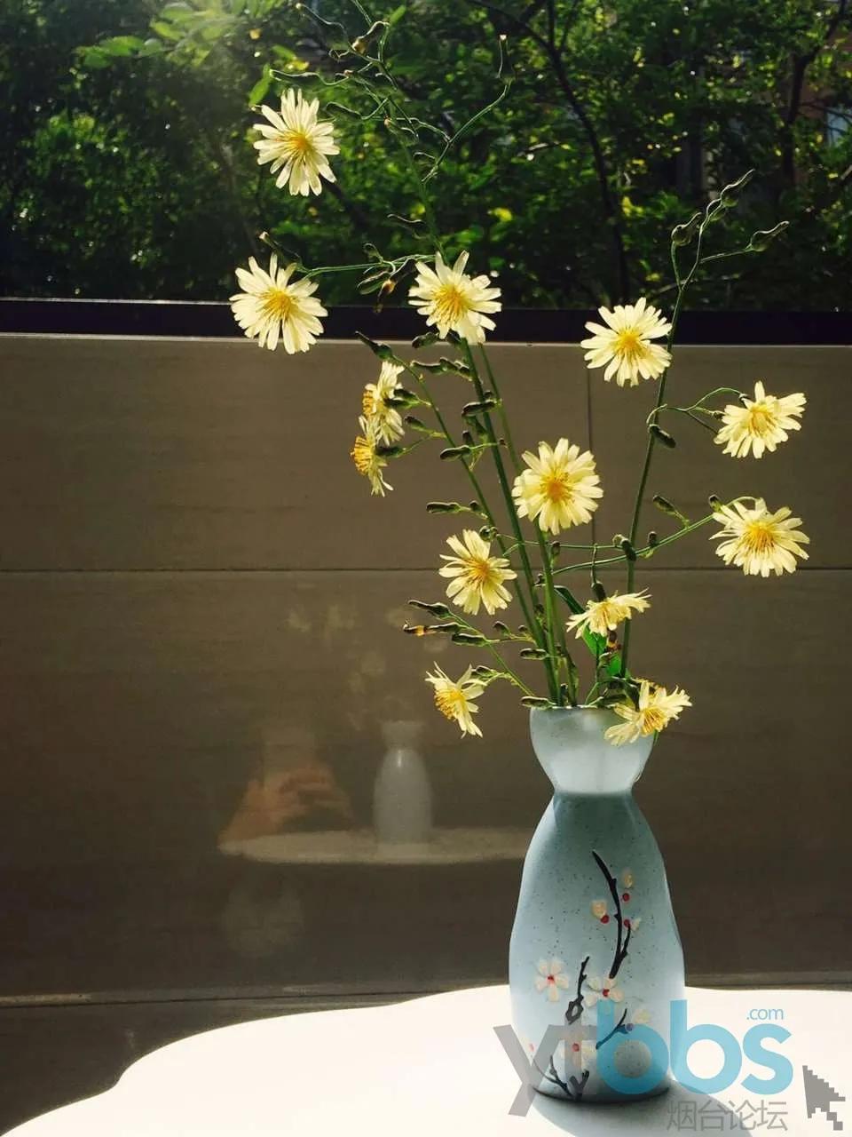 烟台一座承载回忆的城市,烟台一座沿海小城市