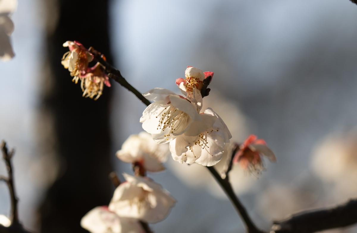 佳能eosr6深度评测,佳能eosr6使用教程