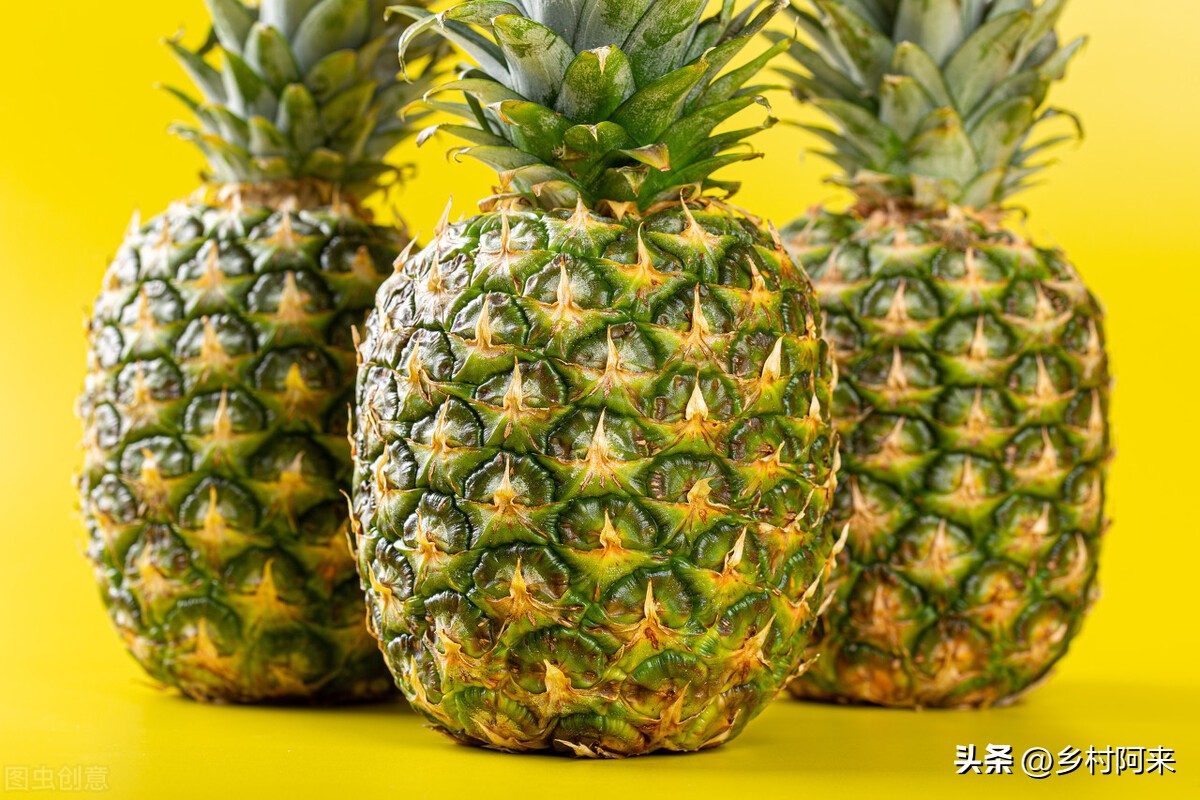 怎样挑选水果视频教程,买水果挑选技巧