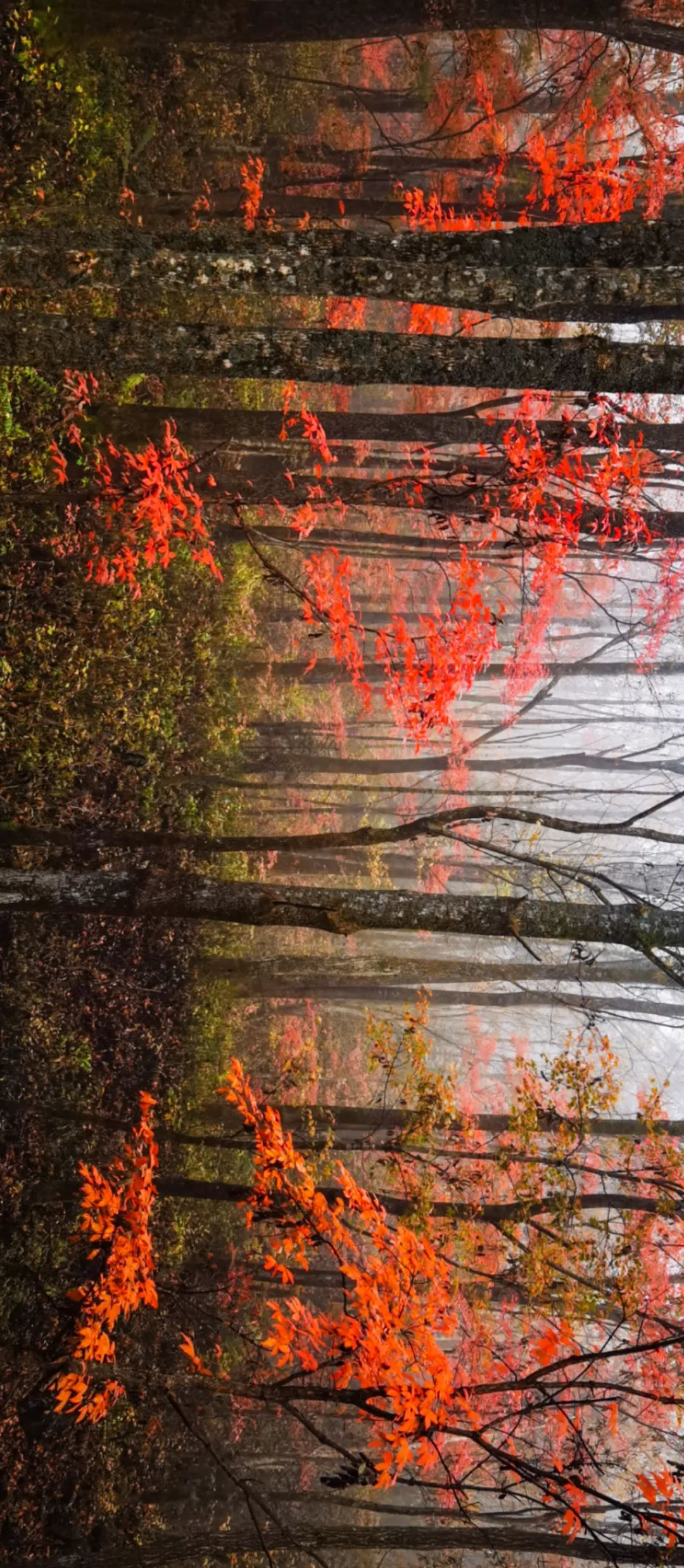 梦幻西游凤凰山,江西凤凰山梦幻影视城