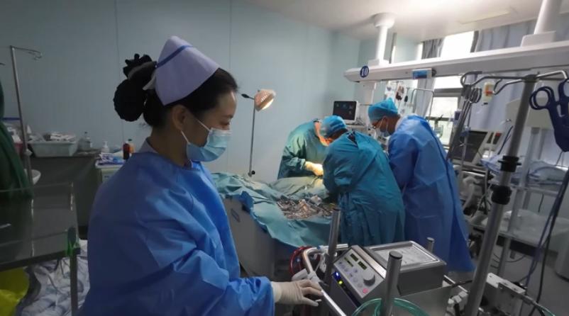 江苏最美护士颁奖典礼,江苏最美医护工作者获奖名单