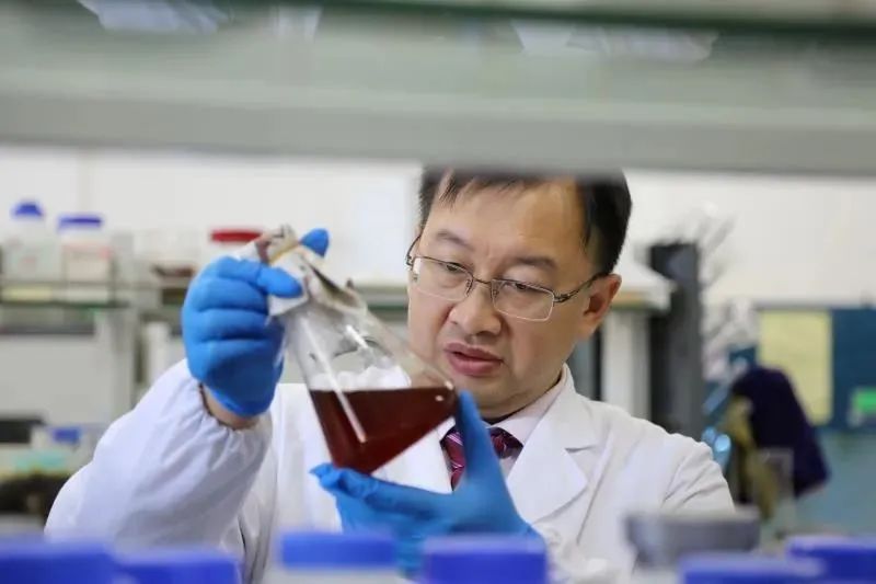 娓呴叡鐧介厭浜烘皯灏忛厭,娓呴叡棣欏瀷浜烘皯灏忛厭椋庢牸鐗圭偣