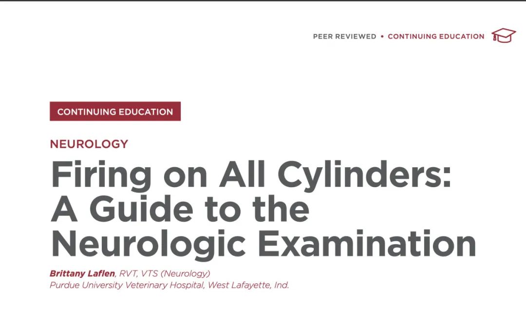 犬猫神经学检查视频,犬猫神经学检查是什么