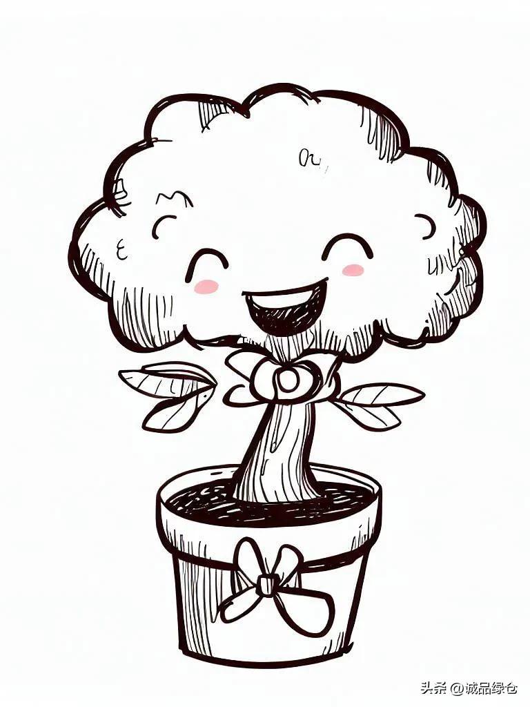 巴西木要这样养就能枝繁叶茂,巴西木幸运木水培植物怎么养