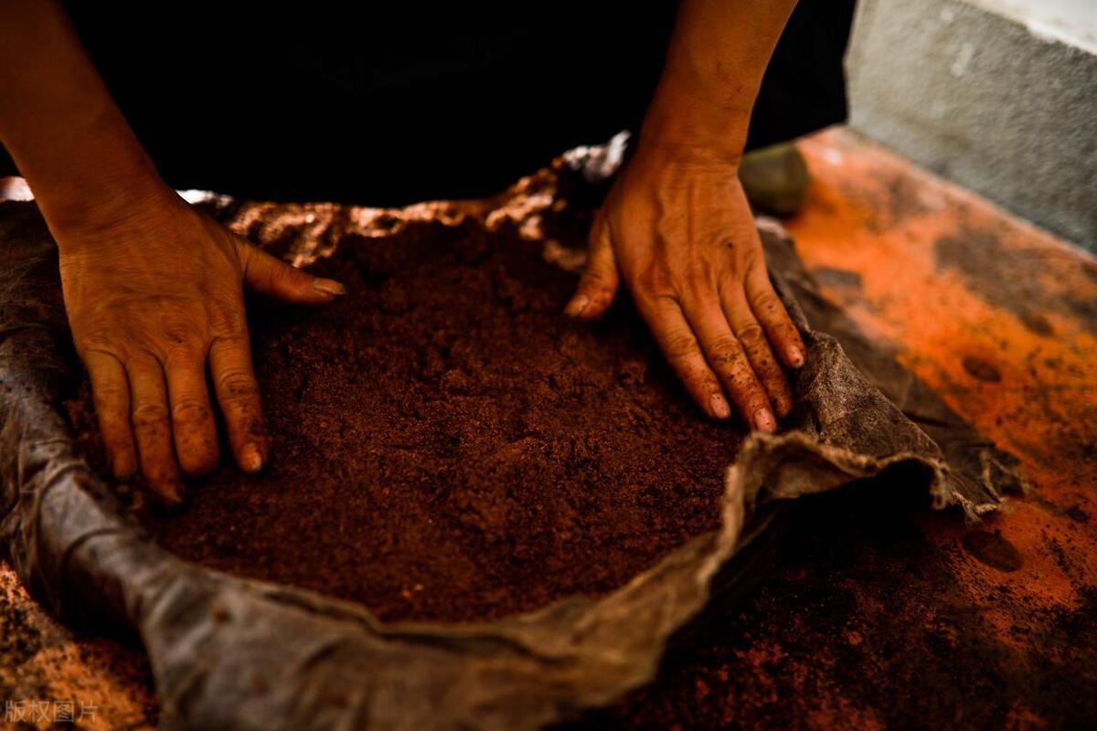 给番茄追肥，别光知道一个劲地用化肥，用这3种农家肥也是挺好的