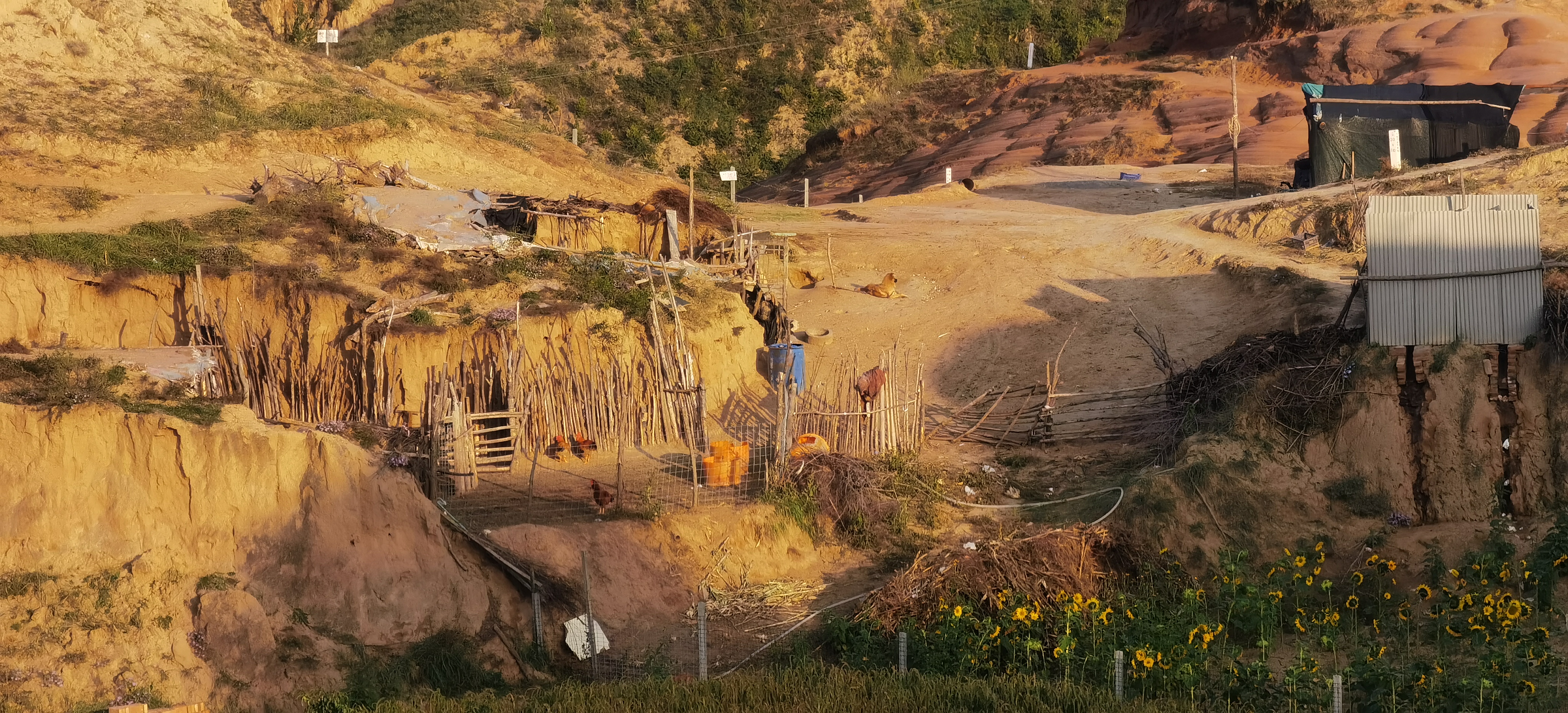 西行漫记79版,西行漫记穿越雪山
