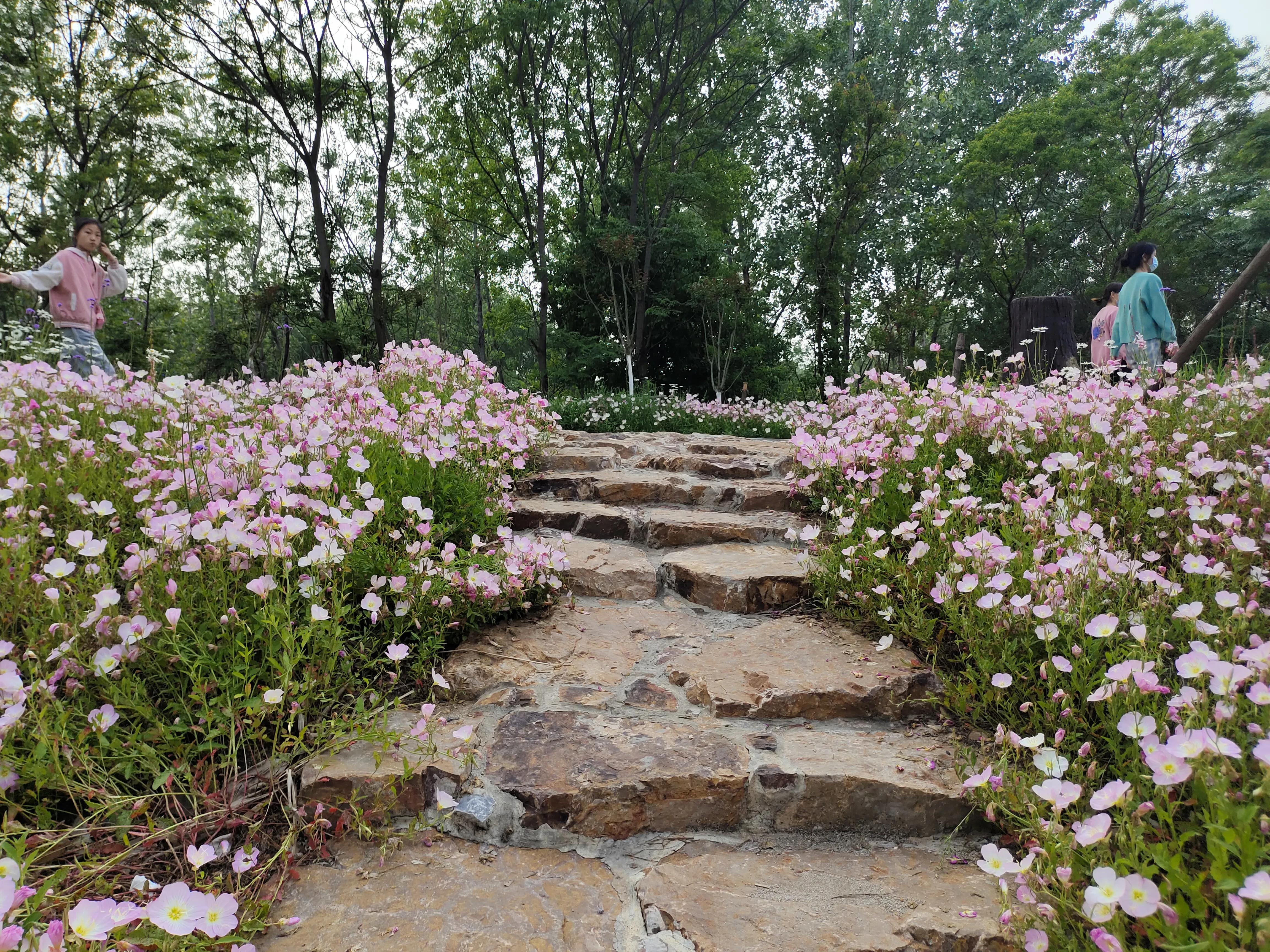 生病了怎么办去哪治疗,生病了怎么办最好的方法