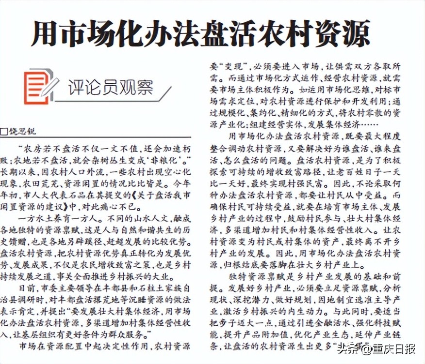 重庆人民日报最新消息,重庆人民网新闻评论