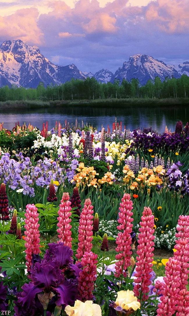 太美了100张人间美照,太美了最美中国红