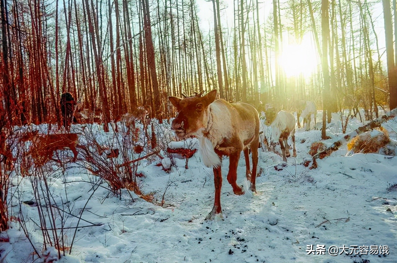 天寒地冻中国十大最冷的地方,中国冬天最冷的地方70度是真的吗