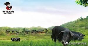 股市交易心得100例,股市交易个人感悟