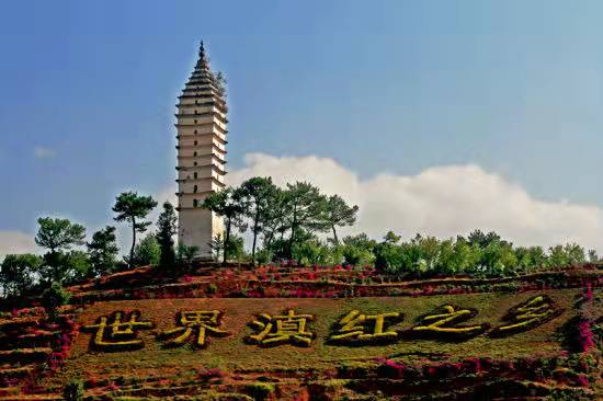 浜戝崡鍑ゅ簡閱夐婊囩孩,澶х編浜戝崡婊囩孩鍑ゅ簡