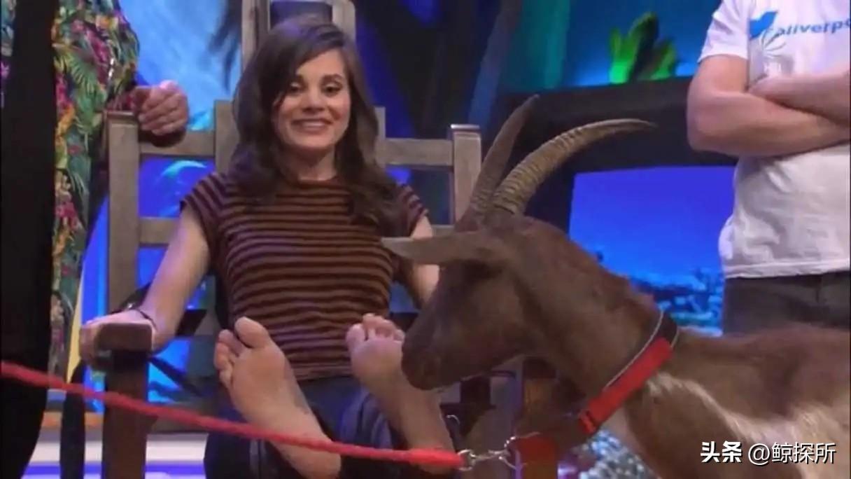 古代刑罚比较不残忍的刑罚,古代很温柔的刑罚