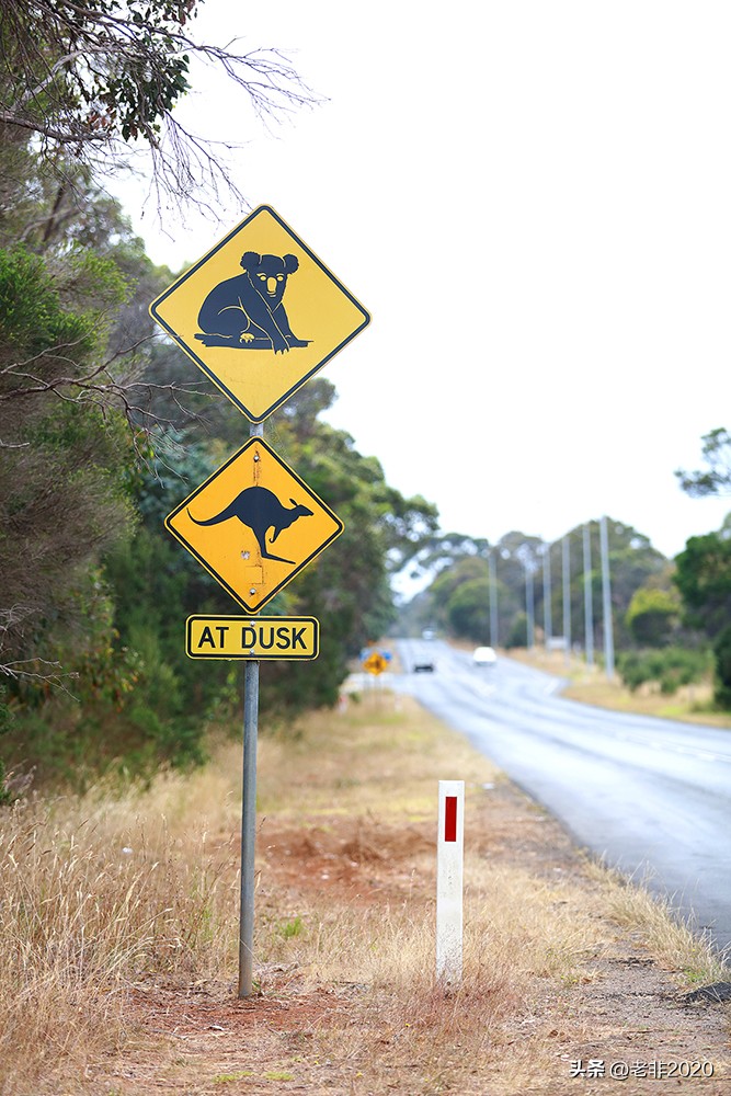 出去旅游要记住这几个路牌,旅游指示路标