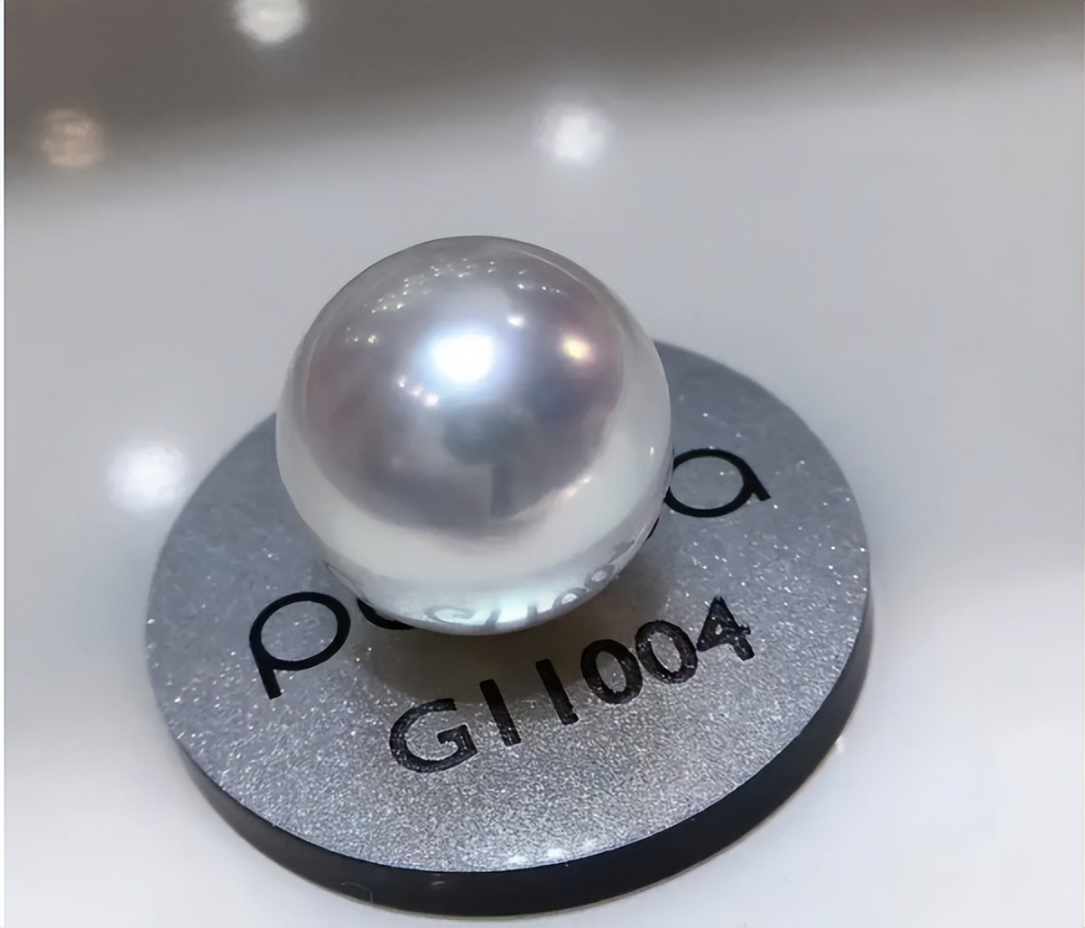 最贵的珍珠是哪种珍珠,世界最大的珍珠品种