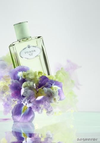 鸢尾花香水推荐,普拉达鸢尾橙花香水