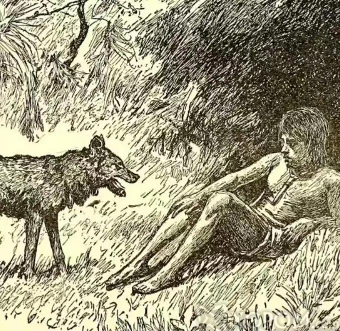 家有二娃如何带从生物进化论看人的成长