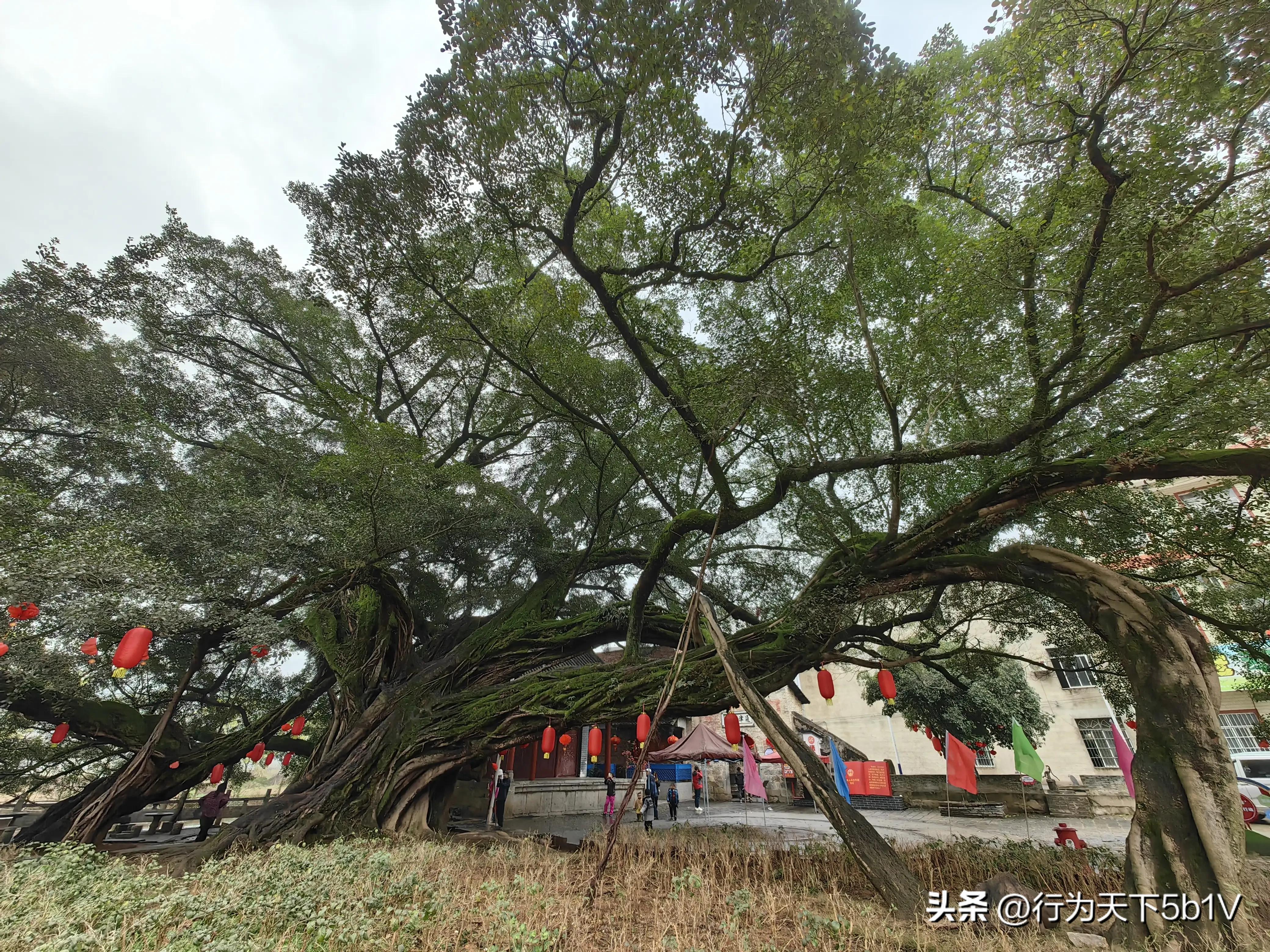 【平乐十里画廊鬼斧神工伟人石像】穿越唐*平宋**乐榕津千年古镇！